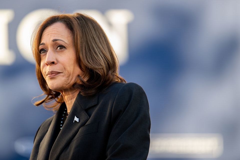 Some DNC delegations endorse Harris