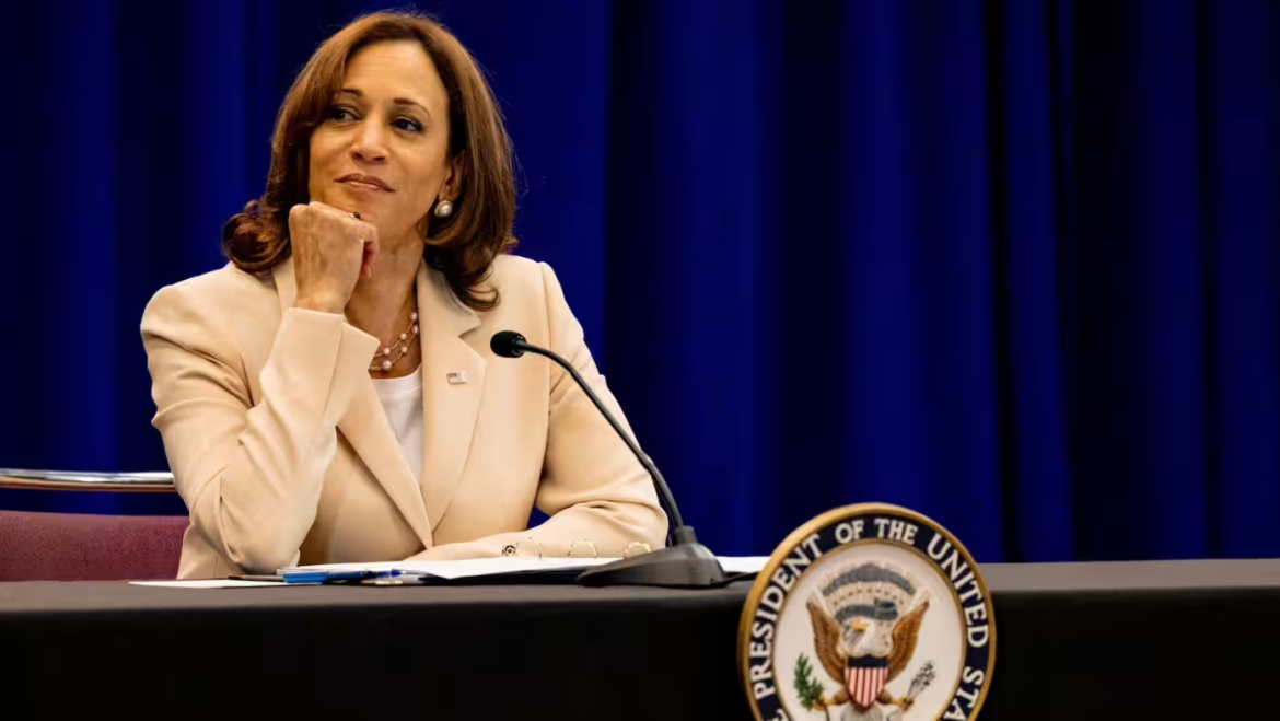 The Democrats who could be Kamala Harris’ VP pick