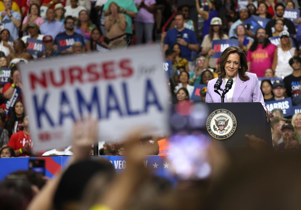 “I don’t think in my ancestors’ wildest dreams I imagined this moment,” supporter says about Harris-led ticket