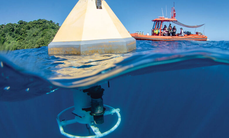 Sharing Environmental Intelligence
