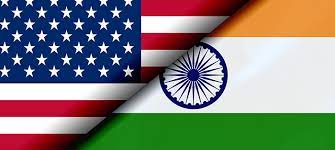 American Diaspora Debate In India: Between Influence, Identity And Interests